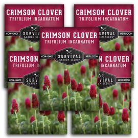 Survival Garden Seeds Crimson Clover Seed for Planting - 5 Packets with Instructions to Plant & Grow Flowers or Cover Crop in Your Home Vegetable Garden - Non-GMO Heirloom