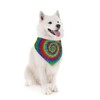 Green Rainbow Yellow Blue Rose Red Tie Dye Dog Bandana