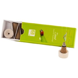 Berk HS-983 Räucherkegel - Zimt - Green Line, 16 g