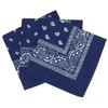 Laciteinterdite Set of 3 Paisley Bandanas for Men and Women,