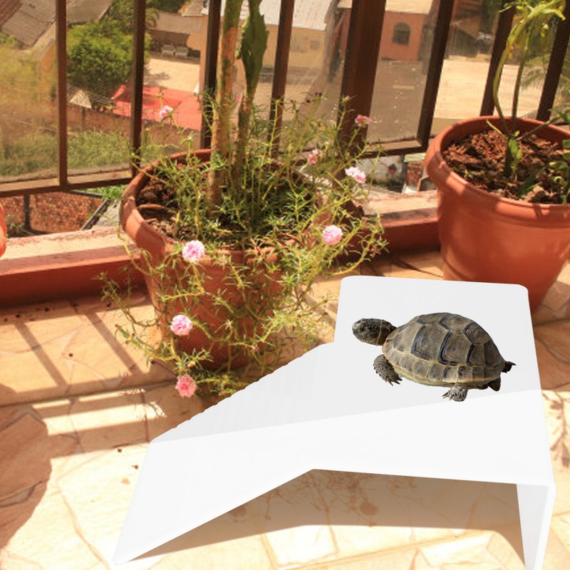 Acrylic Turtle Basking Platform Durable Slip Rasistant Deck Surface Stable