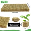 Nuyoah Rock Wool Cultivation Cubes Hydroponics Rockwool Cube Rockwool Cube