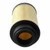 leiwu55 Fuel Filter For International A26 N13 Maxxforce 11 13