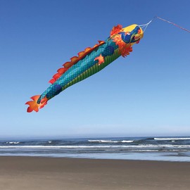 In the Breeze 3D Dragon Windsock - Hanging Outdoor Decoration, 5171