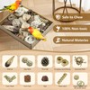 LOPERDEVE Natural Bird Toy Foraging Parrot Shredding Toys Box Conure
