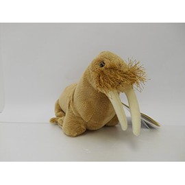 National Plush Walrus Baby 770703e