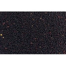 Rapeseed Cushion 12 x 12 cm – Organic Fabric Light Blue/White – Heat Cushion & Cold Cushion – Grain Cushion