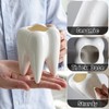 6 Pack Ceramic Tooth Planter