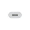 Apple USB-C to Lightning Adapter