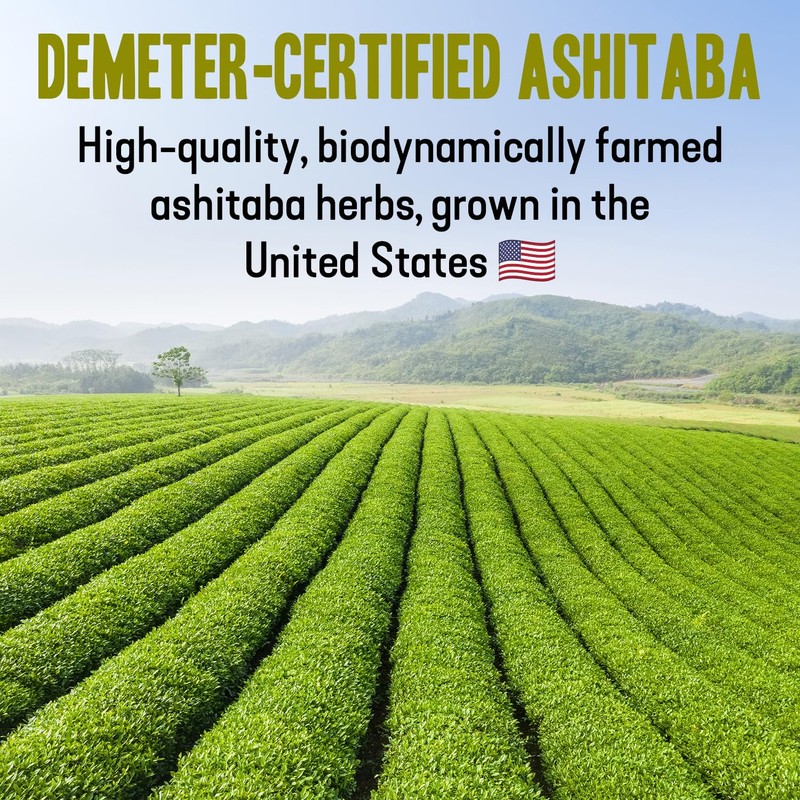 High‑Polyphenol Ashitaba Tea Blend – Demeter Certified Biodynamic U.S. Organic