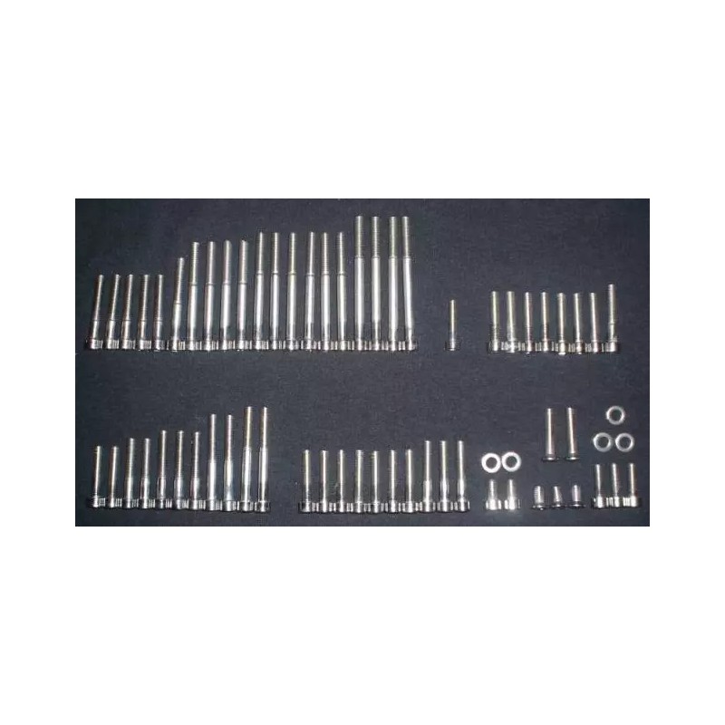 Stainless Cycle Yamaha DT400 DT 400 1975-1976 Stainless Bolt Screw