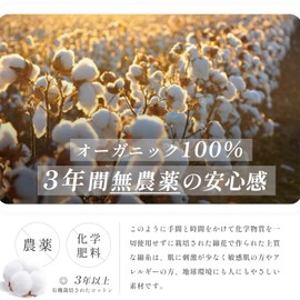 [For Sensitive Skin/ 100% Cotton Material] Cleansing Towel, Disposable Towel, Face Towel, Disposable Facial Towel, Face Paper, For Rough Skin, Travel, Thick Towel, For Both Wet and Dry Use, Makeup