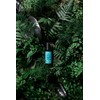 Plisson - Beard Oil with 6 Oils Enriched with Natural