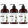 ApotheCARE Essentials Shampoo - The Mender - Coconut Milk, White