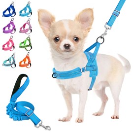 Lukovee No Pull Dog Harness and Leash Set, Soft Padded Small Dog Harness, Neck & Chest Adjustable Reflective Vest Puppy Harness with 4ft Lightweight Anti-Twist Dog Leash for Small Dogs (LBL, XXS)
