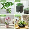 2 Quarts Horticultural Charcoal for Indoor Plants-Hardwood Potting Soil Amendment