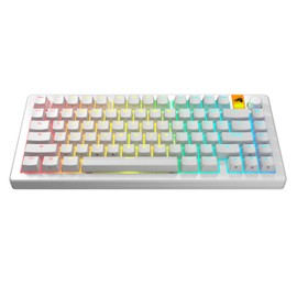 Glorious Gaming - GPBT Backlit Keycaps (White) Translucent Shine Through Legends, Fits 100%, 75% 65% 60% Custom Mechanical Gaming Keyboards, Fits ANSI, ISO, Windows & macOS, English (US)