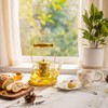 dingdaer Glass Teapot Stovetop 44 oz/1300ml, Borosilicate Clear Tea Kettle,