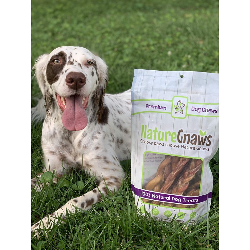 Nature Gnaws Variety Pack for Small Dogs (12 Count) -