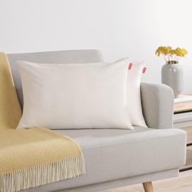 Blumtal Chenille Cushion Cover, 40 x 60 cm, Set of 2, Oeko-Tex Certified Cushion Cover, Sofa Cushion Cover with Hidden Zip, Decorative Cushion Cover in Off-White