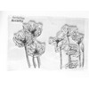 arrietty craft Beautiful Blooming Poppies Artistic Sketch Flowers Clear Stamps