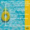 Waters Choice Pure Enzymes for Spas -All-Natural Monthly Hot Tub
