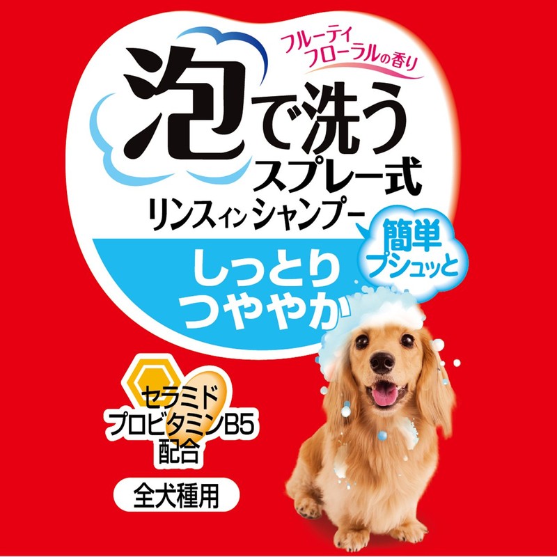 petexio (Petio) pettusumairudo Foam Wash rinsuinsyanpu- Lending Sleek for all