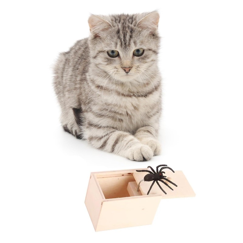 Rubber Spider Trick Box, Handmade Wooden Trick Surprise Box Spider