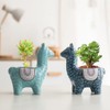 Diarypiece Beautiful Alpaca Flower Pot Planter Flower Pot for Windowsill,
