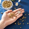 Craftdady 300Pcs Antique Golden Tibetan Alloy Spacer Beads 30 Styles