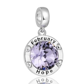 AMATOLOVE February Purple Birthstone Charms for Bracelets Hope Bead Charm for Women Birthday Christmas Gifts for Mom Grandma Jewelry Gifts for Mothers Day