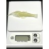 FEELSTAGE Egging, Double Luminous Body, Luminous, Night Fishing, Lure, Squid,
