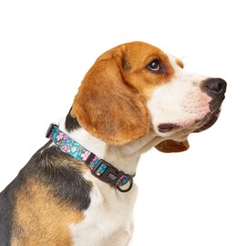 Dog Collar Adjustable Flower Dog Collars with Quick Release Safety Buckle Soft Comfortable Cute Pet Collar for Small Medium Large Dogs