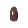 PRE GEL Color EX Opera Maroon 953 0.1 oz (3