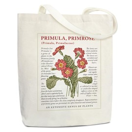 Lidxfeo Canvas Tote Bag with Zip, Foldable Shopping Bag, Large, Cotton Fabric Bag, Aesthetic Women, Jute Bag, Printed with Inner Pockets, for Work, Shopping, School and Everyday Use, beige