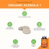 Nutrimea Organic Acerola 1000mg - Vitamin C Supplement – 30