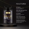 Sakoon nutrition Pure Shilajit Gummies with Black Seed Oil -