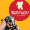 Petrodex Natural Toothpaste Dog - Peanut - 2.5 Oz