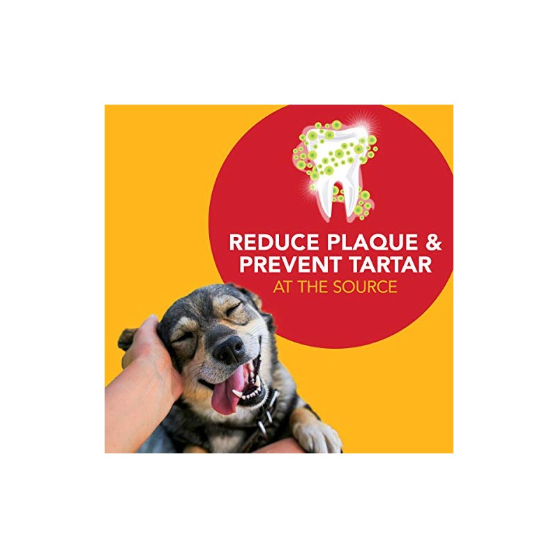 Petrodex Natural Toothpaste Dog - Peanut - 2.5 Oz