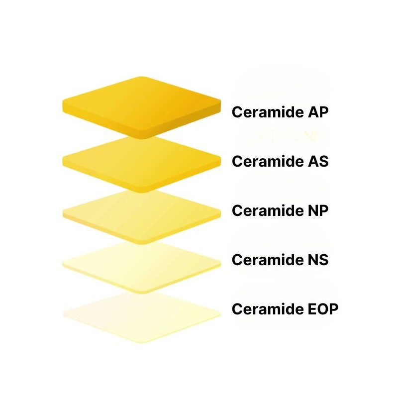 TORRIDEN Solid In Ceramide Lip Essence 11ml