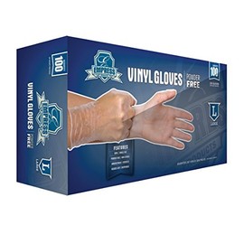 Empress Products EVPFL4003 Vinyl Glove, Powder Free, Large, 10/100 (Pack of 1000)