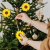 10pcs Unfinished Wood Cutouts Sunflower Wood Shapes Pieces Discs Slices
