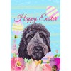 Cockapoo Black - Best of Breed - HHS Easter House