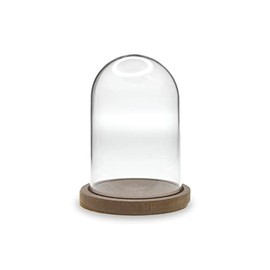 Decorative Terrarium Plastic Clear Dome with Wood Base - DIY Crafts - 4.5 Inches Tall