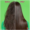 Matrix Food For Soft Detangling Conditioner with Avocado Oil and
