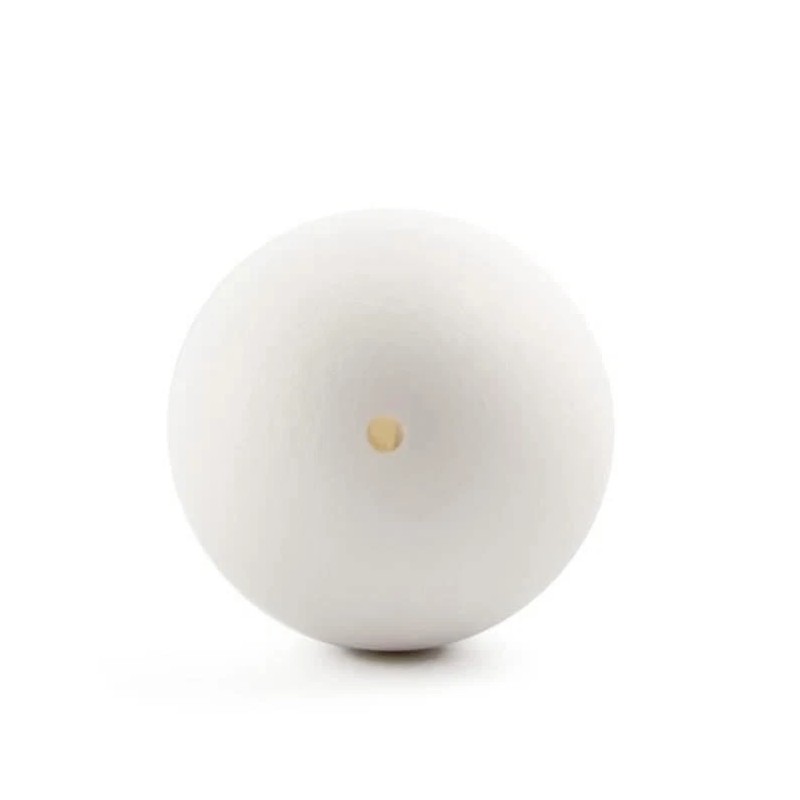 BESTPYSANKY Blown Out Hollow Real Goose Eggshell, Empty Cleaned-Out ...