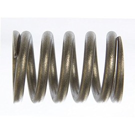 Subaru Genuine 44044AA010 Spring, 1 Pack