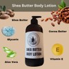 Auburn Hills Caribbean Coconut Scented Shea Butter Body Lotion, 32