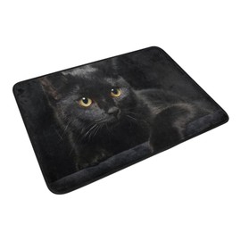 Doormat Welcome Door Mat-Black Cat,Living Room Kitchen Floor Mat Home Indoor Outdoor Decoration 24X16INCH