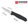 Giesser seit 1776 - Made in Germany - Allzweckmesser 13